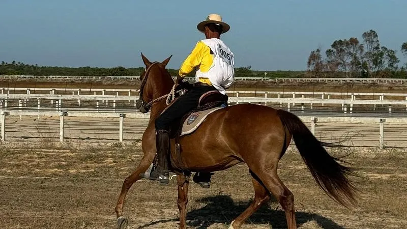 Festival do cavalo de raça terá corrida e competições esportivas em seis modalidades nos dias 10 e 12, no Ceará 