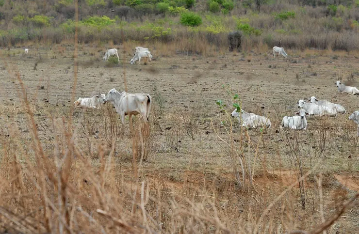 MIDR reconhece a situação de emergência em Cajazeiras-PB|Foto: Divulgação