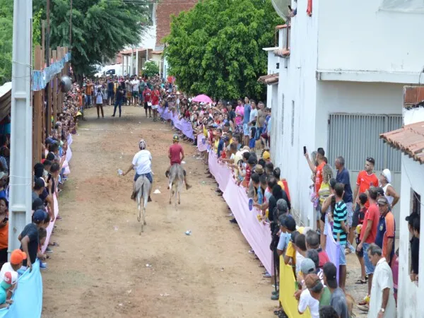 Corrida de Jegues em Bom Jesus-PB|Foto: Divulgação