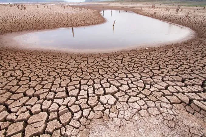 Seca no Sertão|Foto: Reprodução
