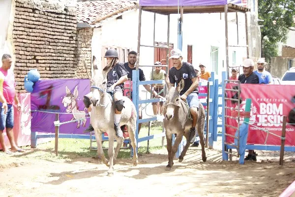 Corrida de Jegues de Bom Jesus chega a 61 anos de tradição|Foto: Emanuel Dias