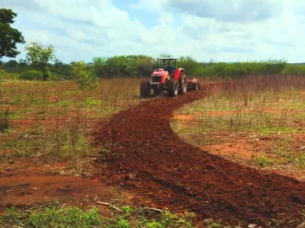 Cajazeiras já efetuou corte em 846 tarefas de terra em 2026|Foto: Divulgação