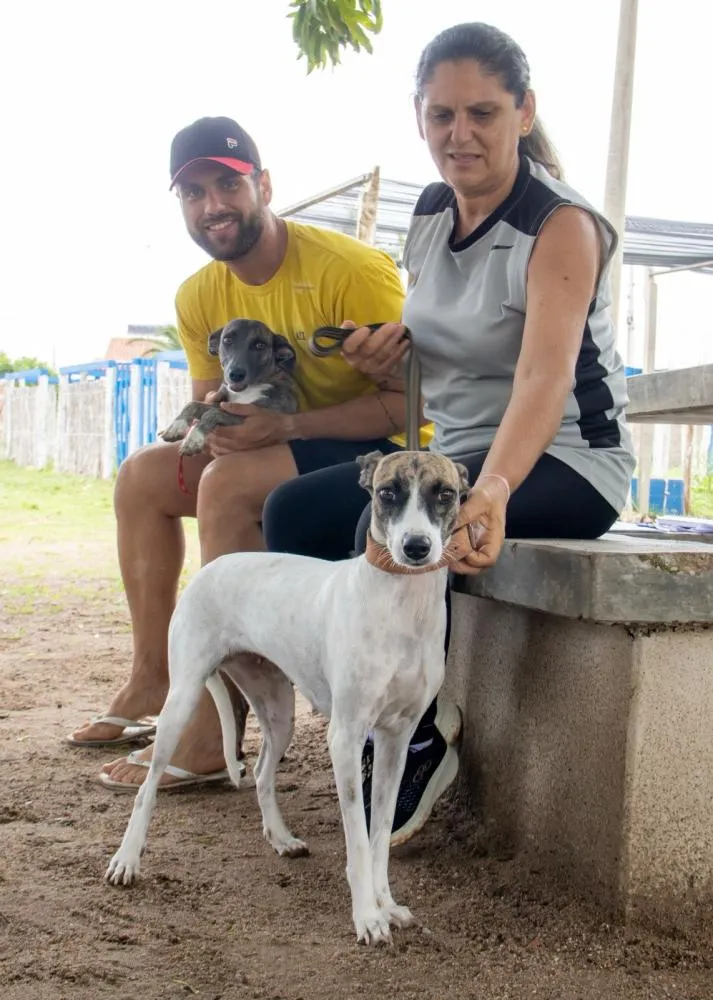 Triunfo-PB realiza ação de castração animal e supera meta inicial|Foto: Assessoria