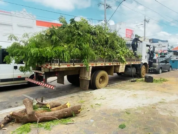 Infraestrutura intensifica limpeza urbana e recolhimento de podas e entulhos em Cajazeiras-PB|Foto: Assessoria