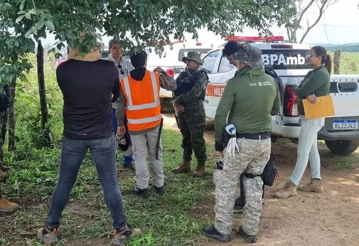 Operação Caatinga Resiste autua 227 hectares de desmatamento ilegal na Paraíba|Foto: Divulgação/MPPB