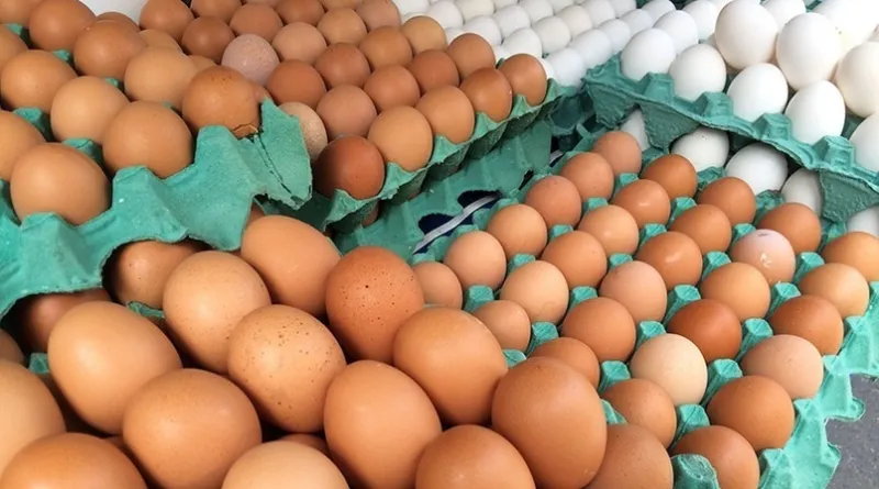 Diferença de preço chega a R$ 2,21 a dúzia