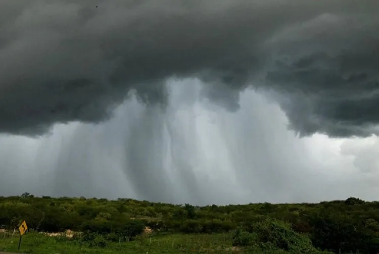 Inmet emite alerta de chuva forte para os 223 municípios da Paraíba com risco de queda de árvores, descargas elétricas e alagamentos|Foto: Reprodução