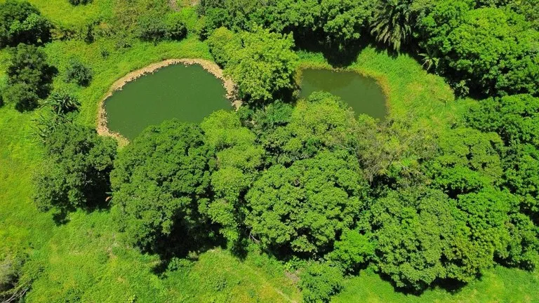 Governo da PB promove Semana do Meio Ambiente com ações em várias regiões